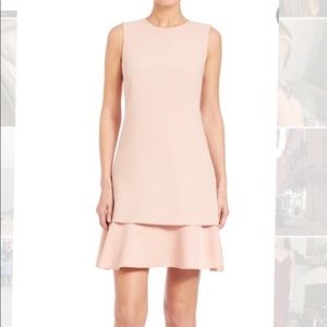 Pale pink Theory Dress